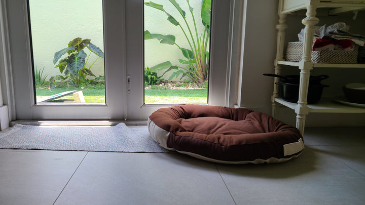 Ergonomic Dog Bed