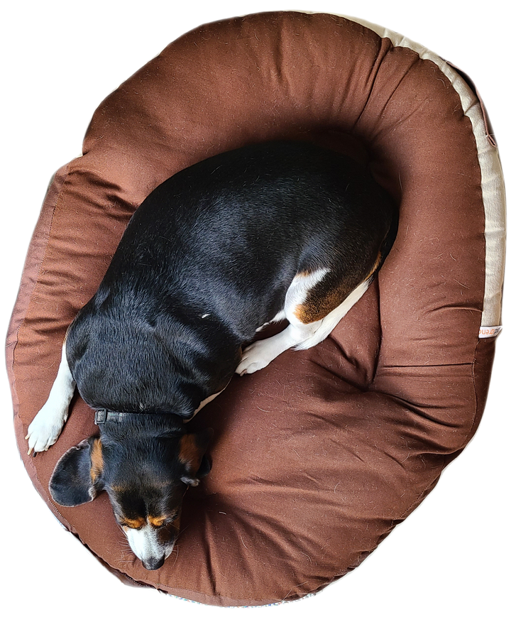 Ergonomic Dog Bed