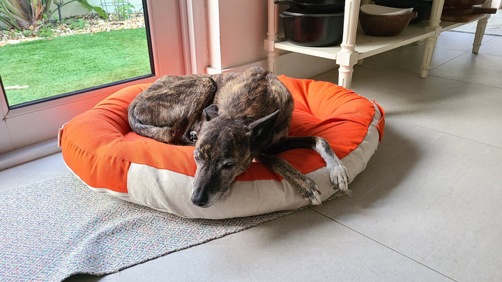 Ergonomic Dog Bed