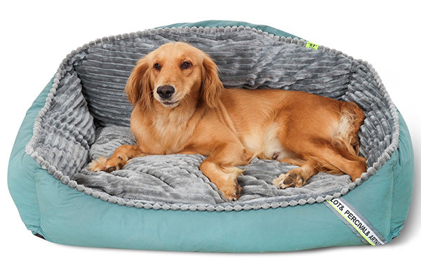 All-Season Dog Bed