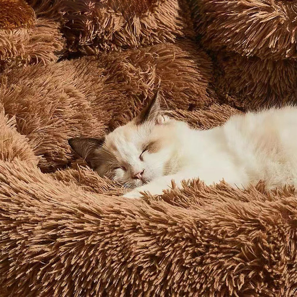 Calming Donut Bed