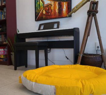 Ergonomic Dog Bed