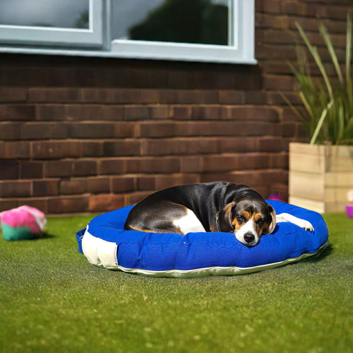 Ergonomic Dog Bed