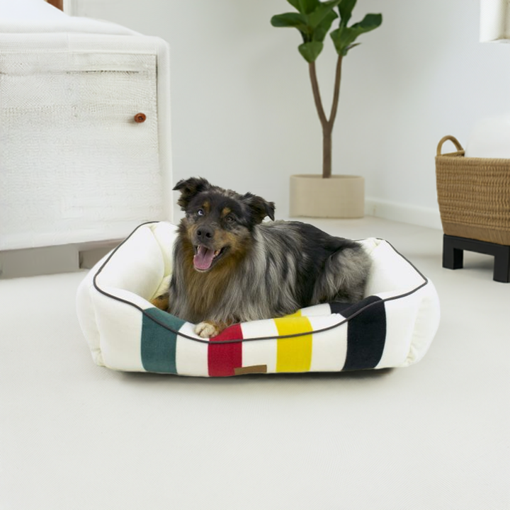 Glacier-Inspired Comfort Dog Bed