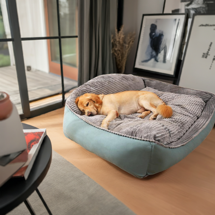 All-Season Dog Bed