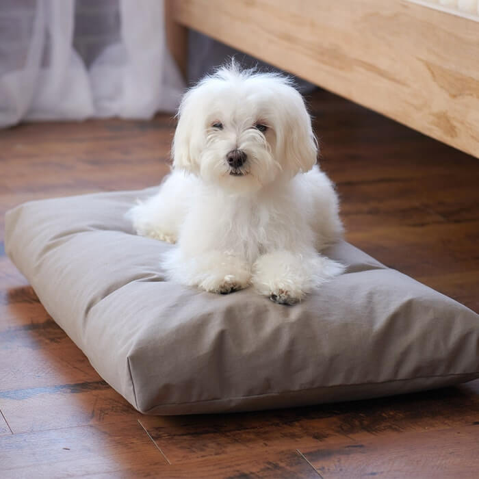 Organic Comfort Pet Bed