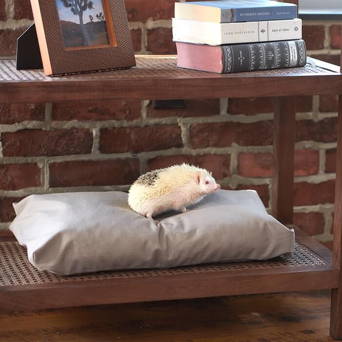 Organic Comfort Pet Bed