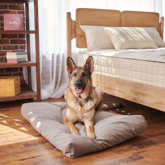 Organic Comfort Pet Bed
