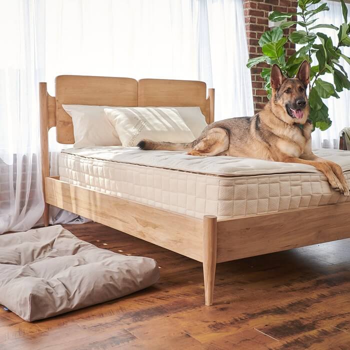 Organic Comfort Pet Bed